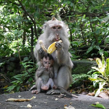 Pondok Penestanan Villa Ubud 외부 사진