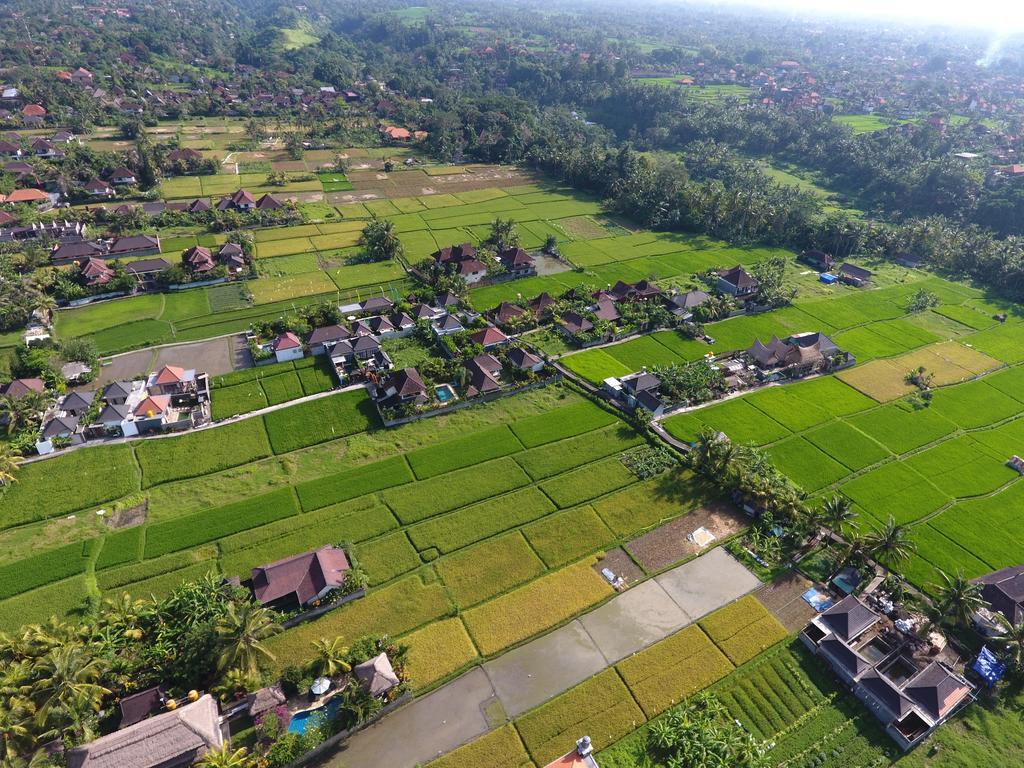 Pondok Penestanan Villa Ubud 외부 사진